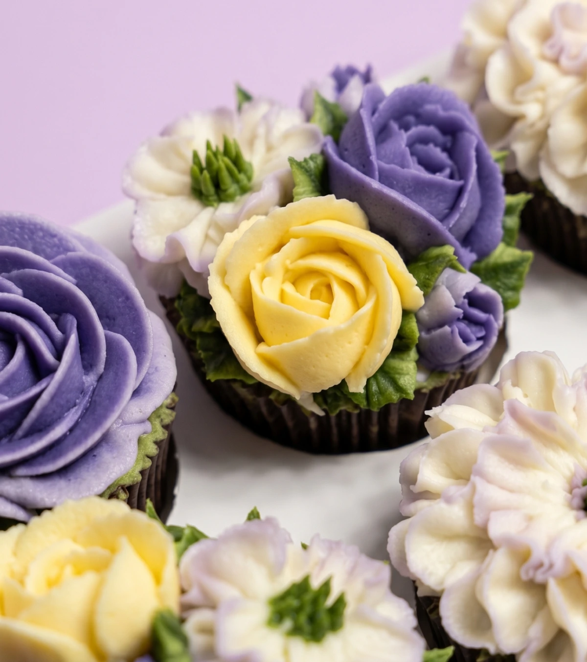 6 cupcake box — close-up view 2